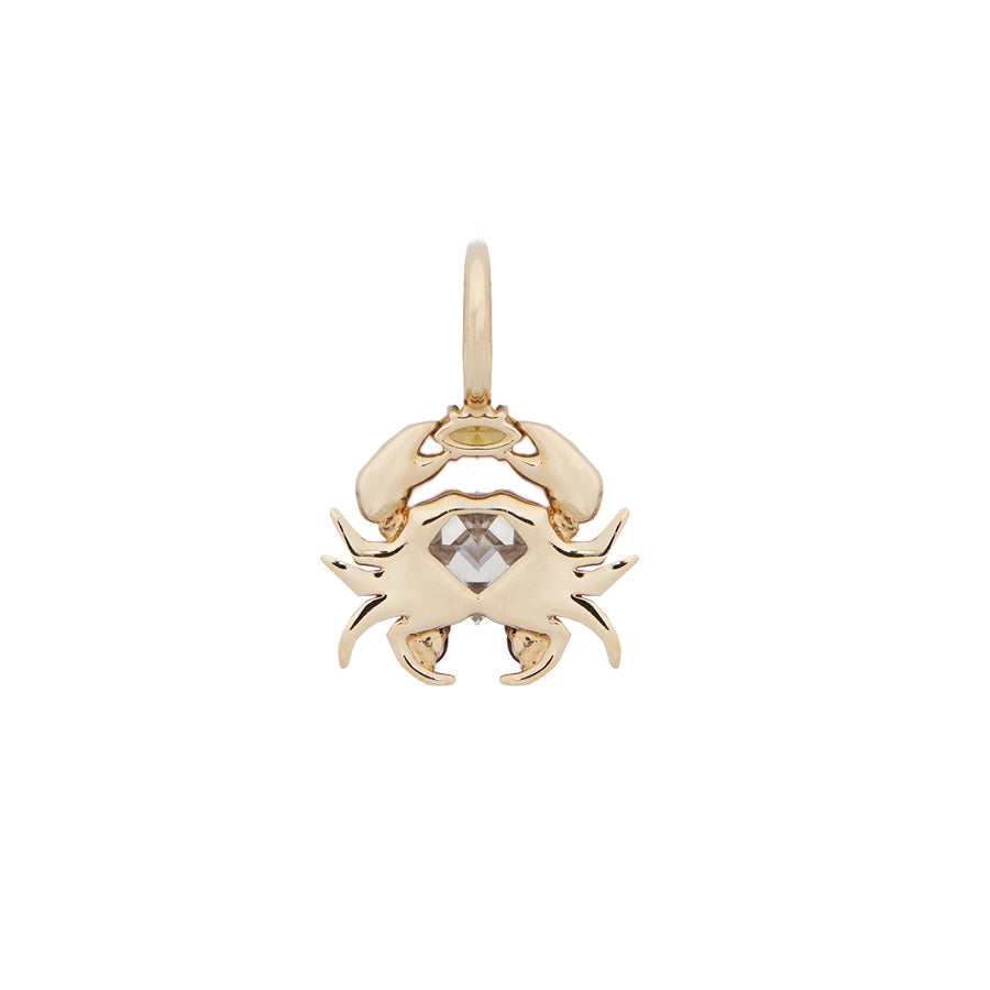 Cancer Crab Charm