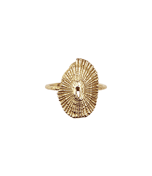 Gold Limpet Ring
